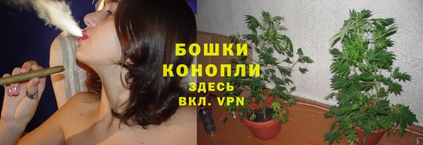 гашик Липки