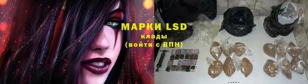 хмурый Тавда